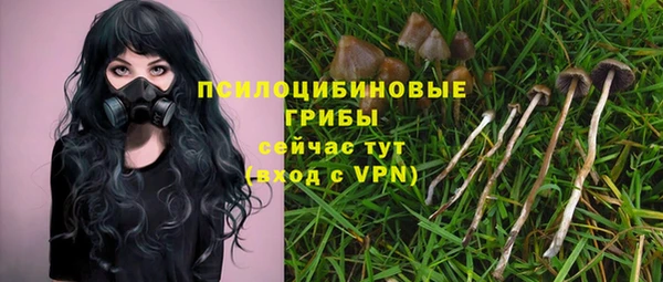 прущая мука Алзамай