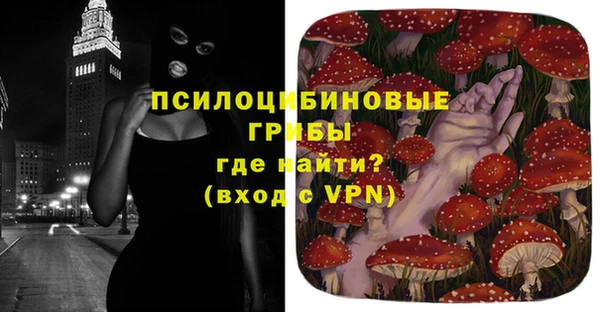 прущий лед Абаза