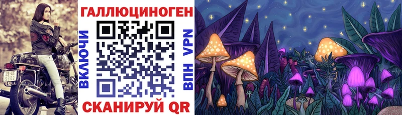 Галлюциногенные грибы Cubensis Луга